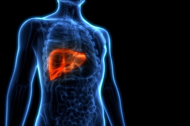 Liver1980
